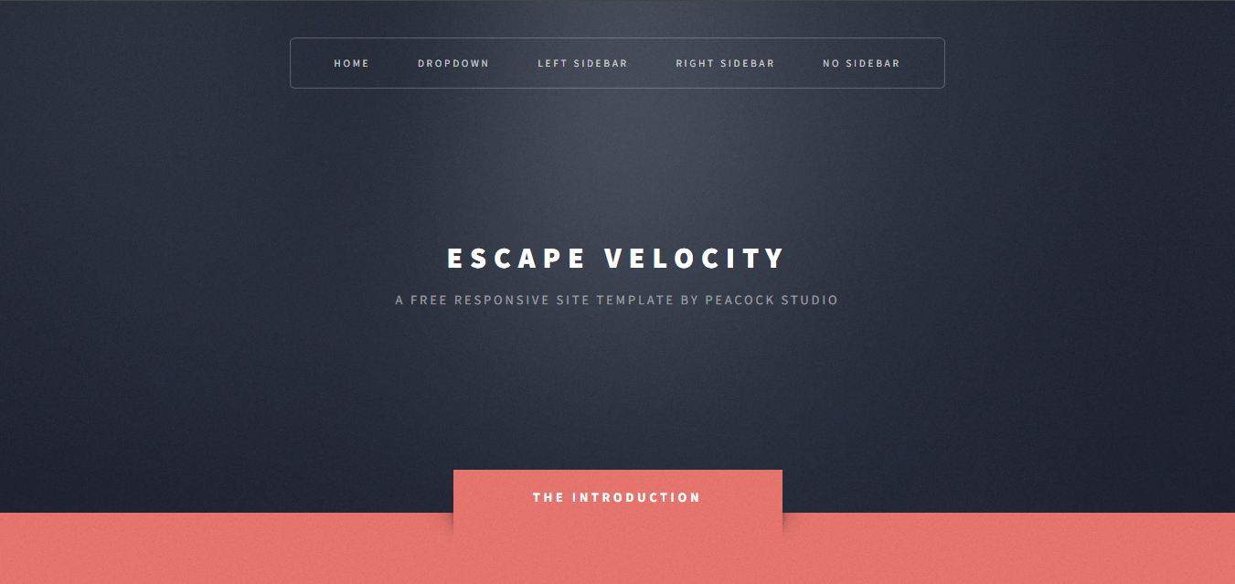 Website design project for escape velocity